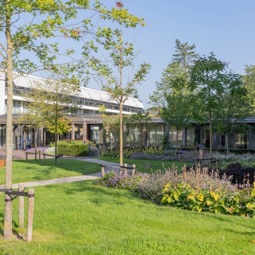 Lid Raad van Toezicht