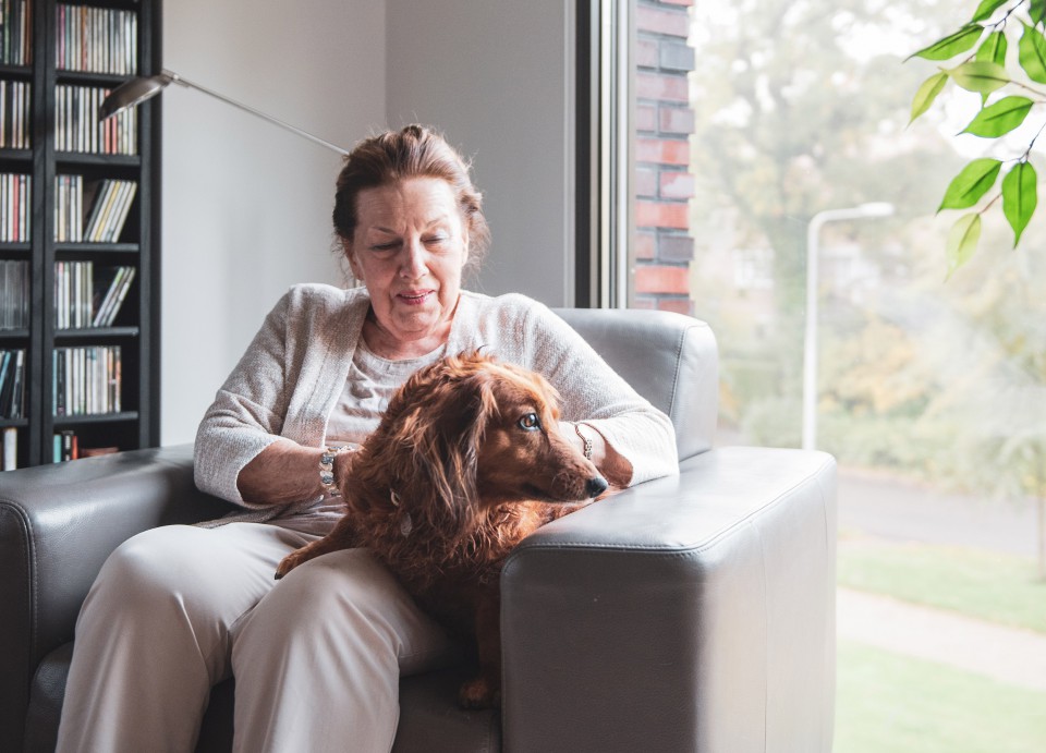 Normen en waarden bij Westerholm