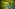 Groen Westerholm